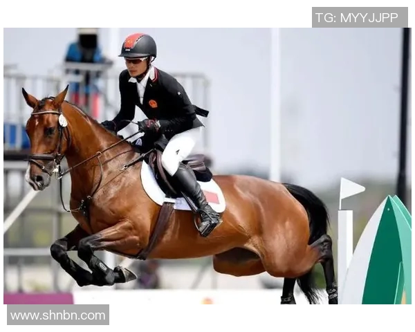 中国马术队首次获得奥运团体赛资格,历史性突破 中国马术队首次获得奥运团体赛资格,历史性突破