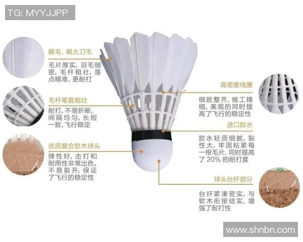 羽毛球比赛关键技术动作解析与科学训练方法指导研究