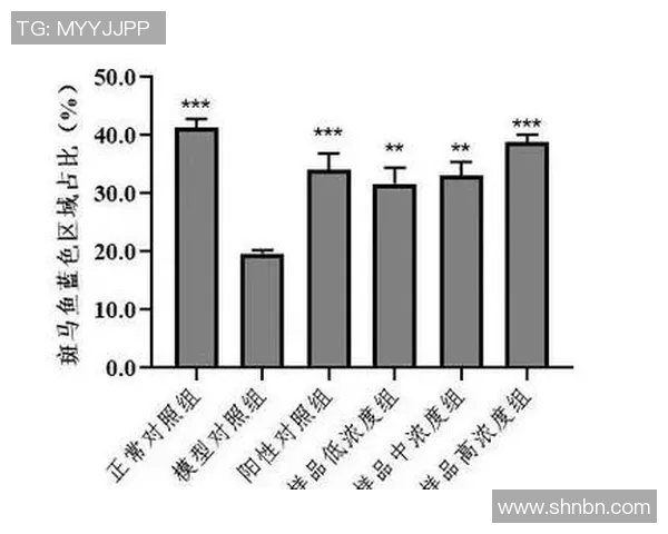 数据模型分析揭示总决赛各队胜率预测背后的奥秘与趋势